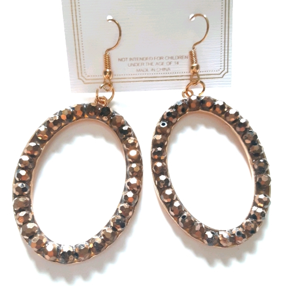 Chloe Accessory Brownish Dangle Earrings